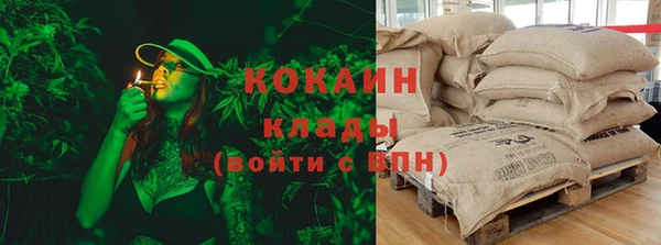 винт Верея