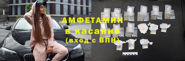 амф Верхний Тагил