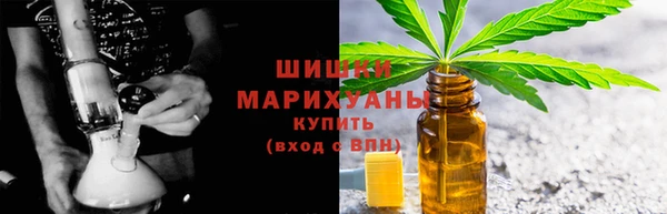 амф Верхний Тагил