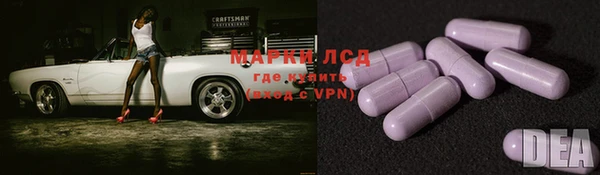 амф Верхний Тагил