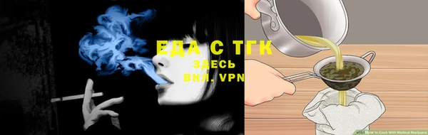 амф Верхний Тагил