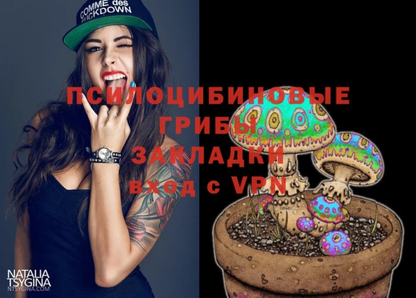 винт Верея