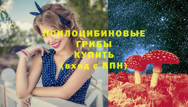 амф Верхний Тагил