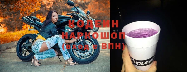 ГАЛЛЮЦИНОГЕННЫЕ ГРИБЫ Семёнов