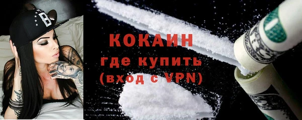 амф Верхний Тагил